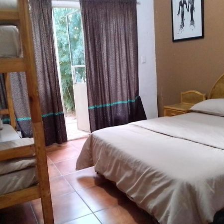 Rosebank Lodge & Backpacker Johannesburg Buitenkant foto
